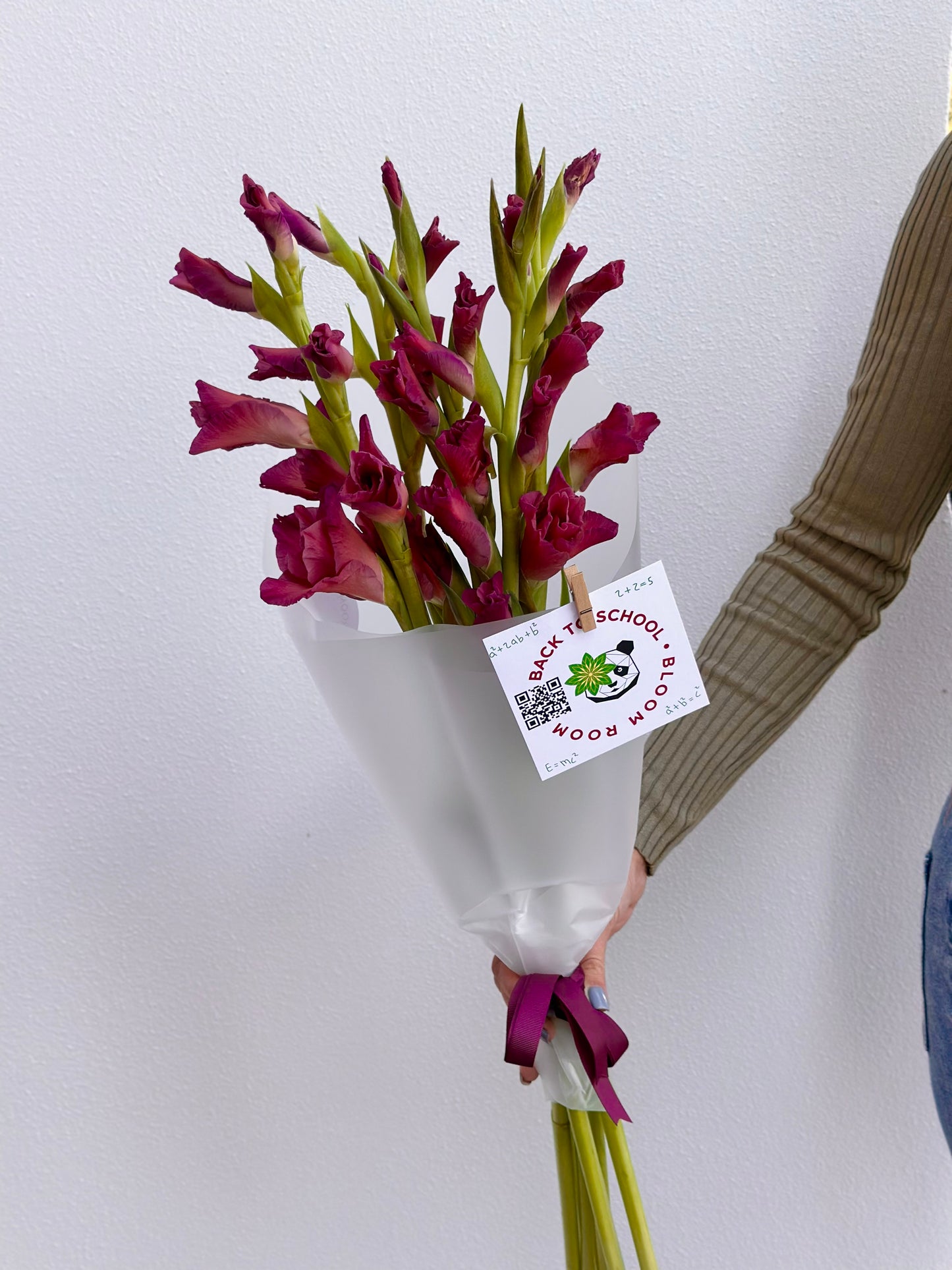 5 "Indian Summer" Gladioluses