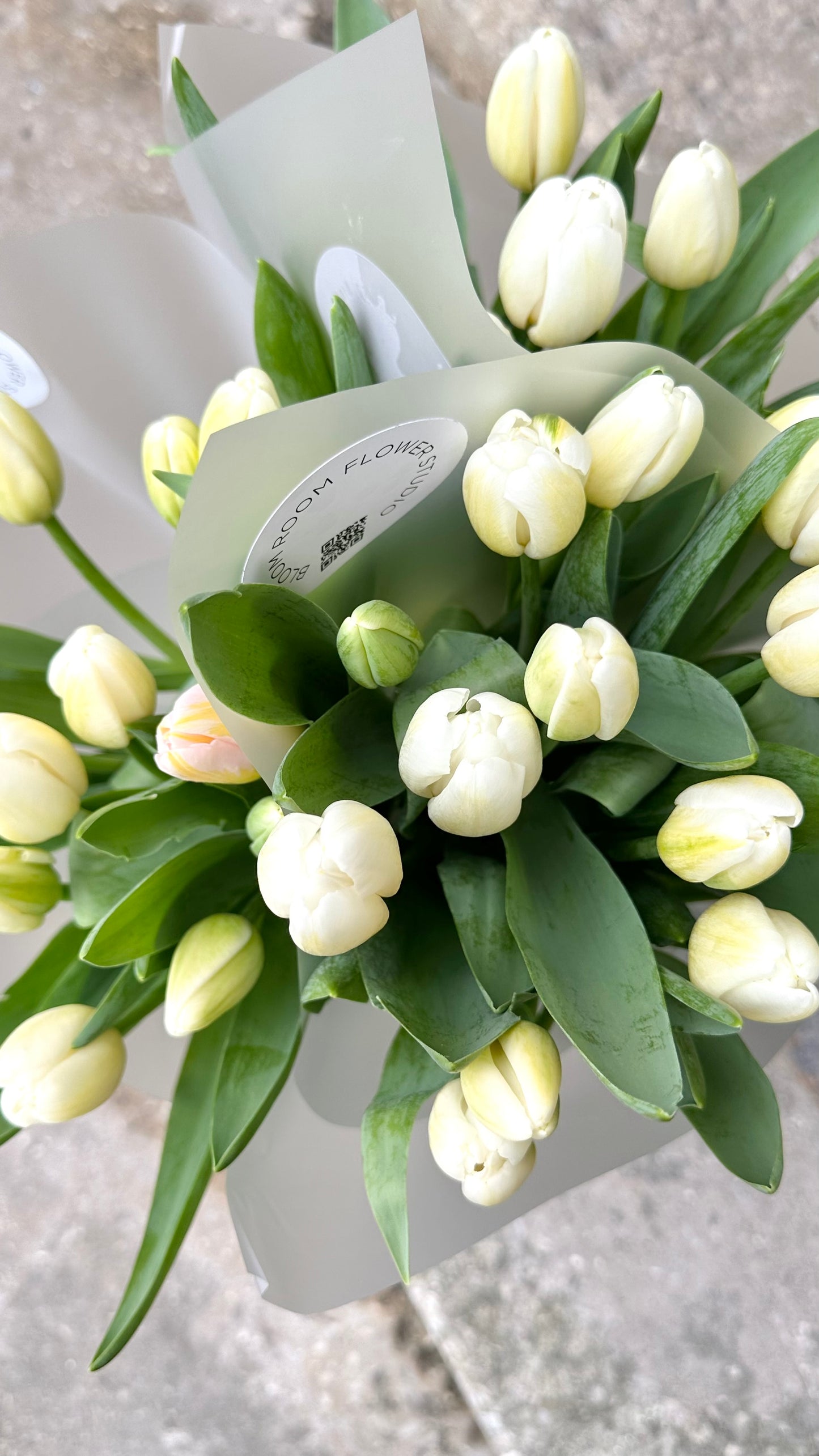 Valged tulpide kimp maitsekas pakendis | Премиум букет белых тюльпанов в стильной упаковке | Elegant bouquet of white tulips in tasteful wrapping