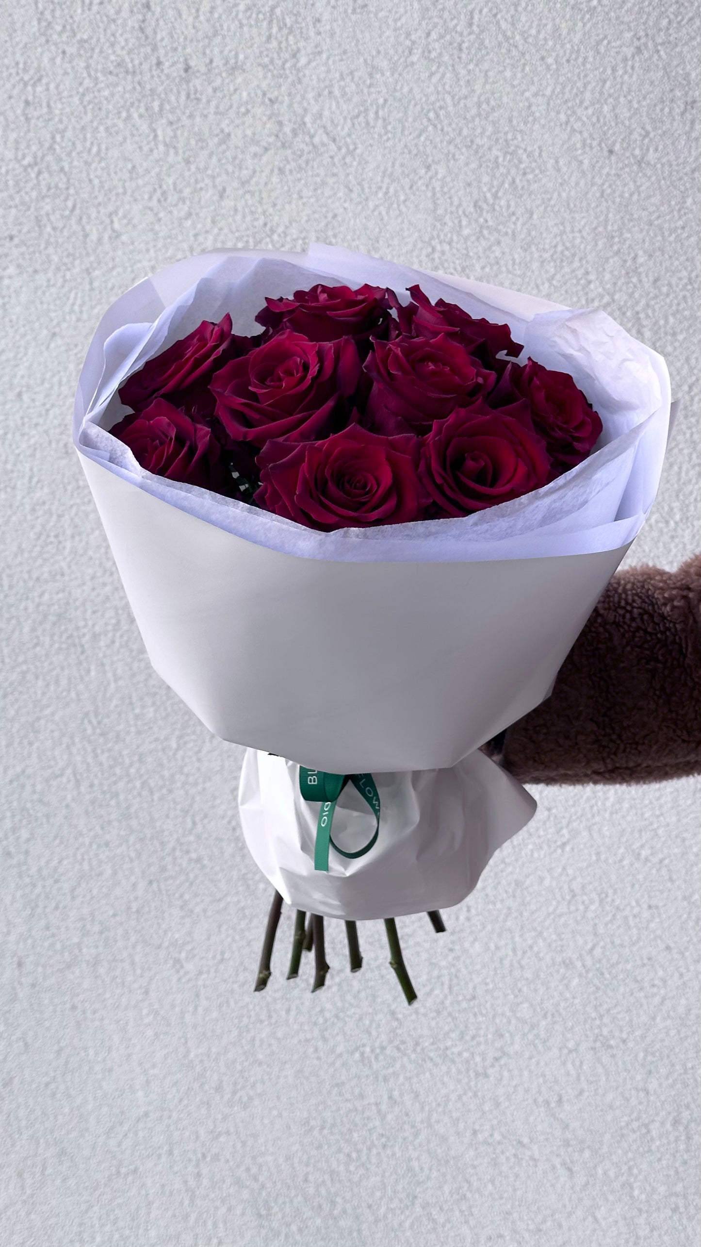 9 suurust Explorer punast roosi valges pakendis | 9 больших роз «Эксплорер» в белой упаковке | 9 XL size Explorer red roses in white wrapping