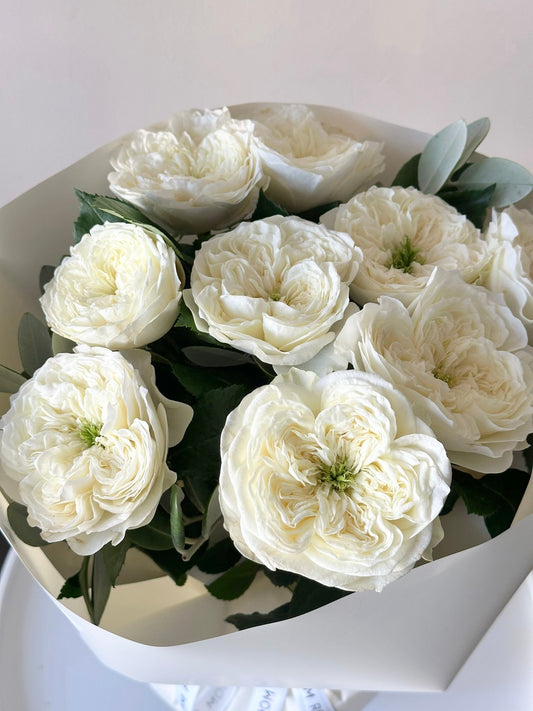 9 "Diamond" white garden roses – BloomRoom.ee, värsked lilled Tallinnas