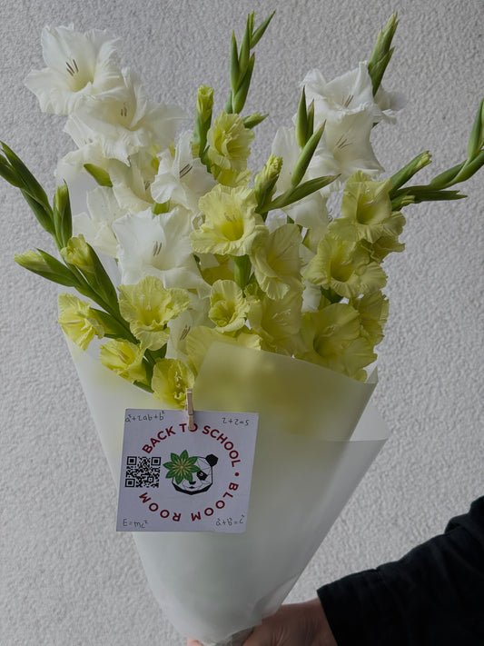 “Back to School” with 7 Gladioluses – BloomRoom.ee, свежие цветы в Таллине