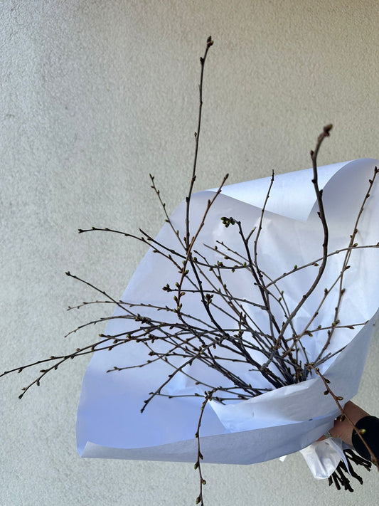 🍒Cherry blossom branches – BloomRoom.ee, värsked lilled Tallinnas