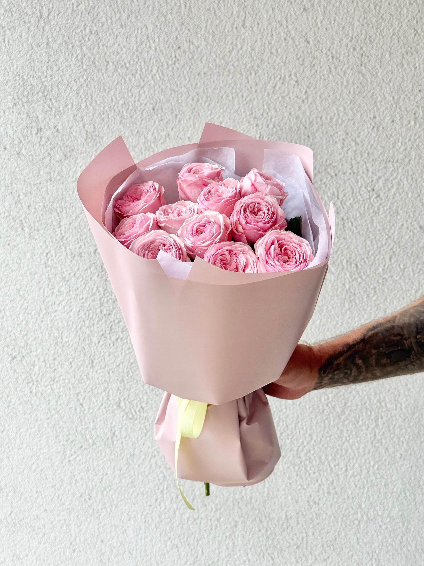11 "Mansfield Park" Garden Roses