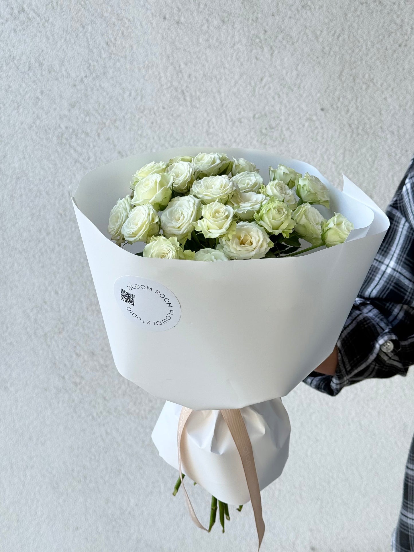 9 "Green Glow" spray Roses