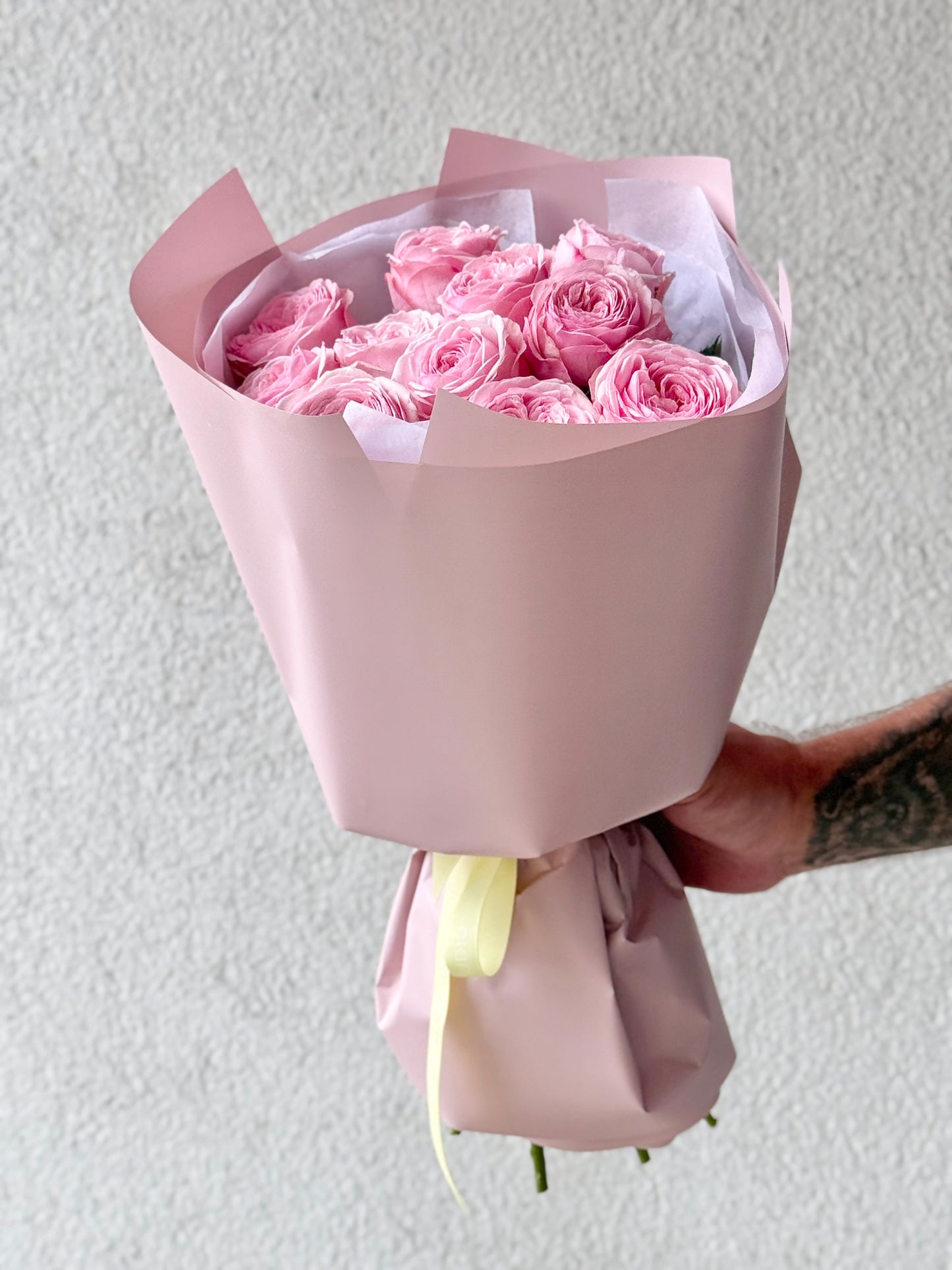 11 "Mansfield Park" Garden Roses