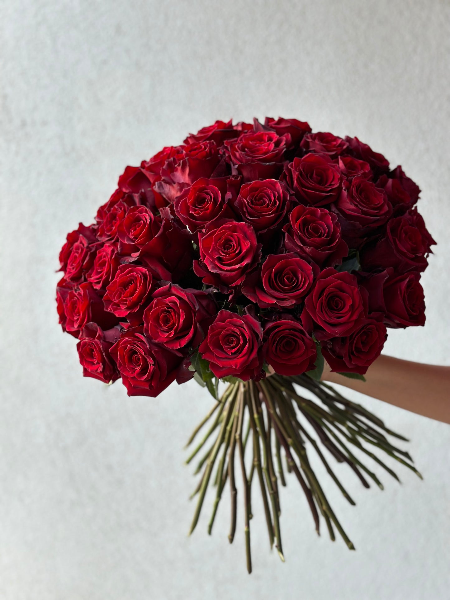Suur punaste rooside kimp | Большой букет красных роз | XL bouquet of red roses, 70 cm size, luxury flower arrangement