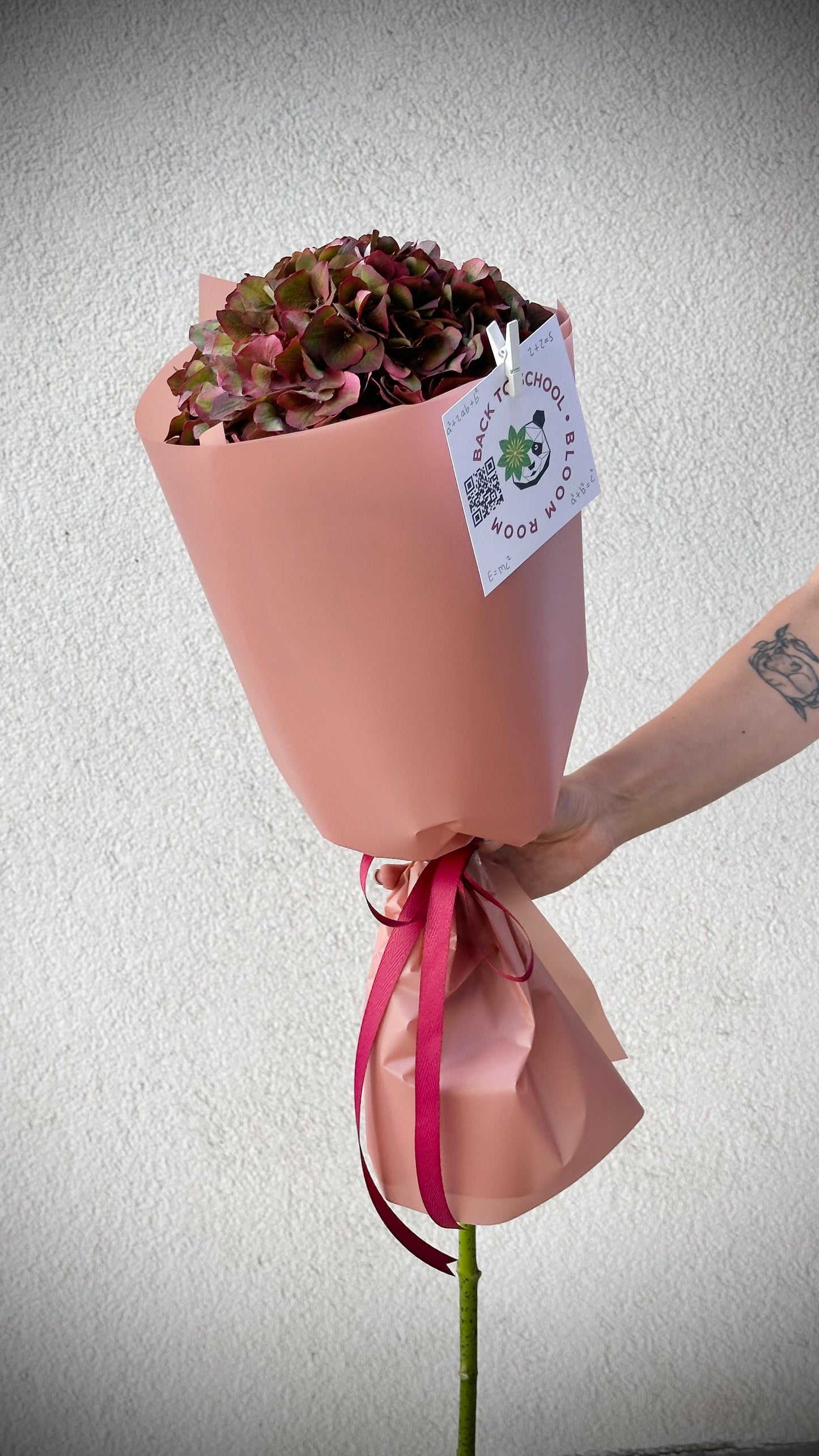 Bordooziga hüdrangea kaunis kimp roosas ümbrikus | Бордовая гортензия в розовой упаковке | Bordeaux hydrangea bouquet in pink wrapping