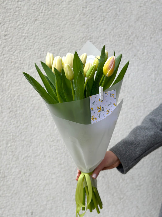 “Spring Thing” 11 white tulips with Mimosa Card – BloomRoom.ee, fresh flowers in Tallinn
