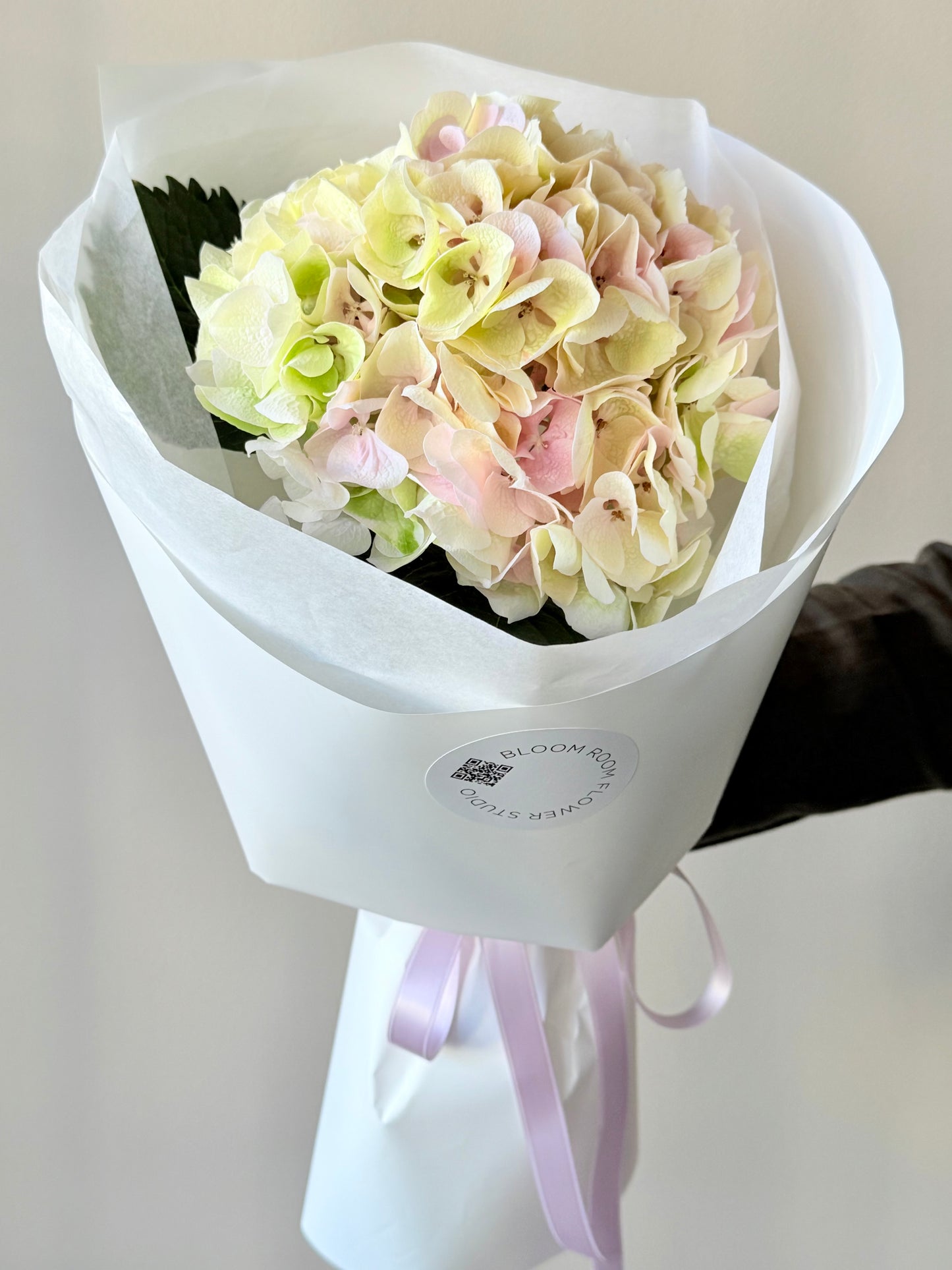 "Watermelon" Hydrangea