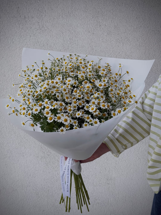 Bouquet of Daisies – BloomRoom.ee, fresh flowers in Tallinn