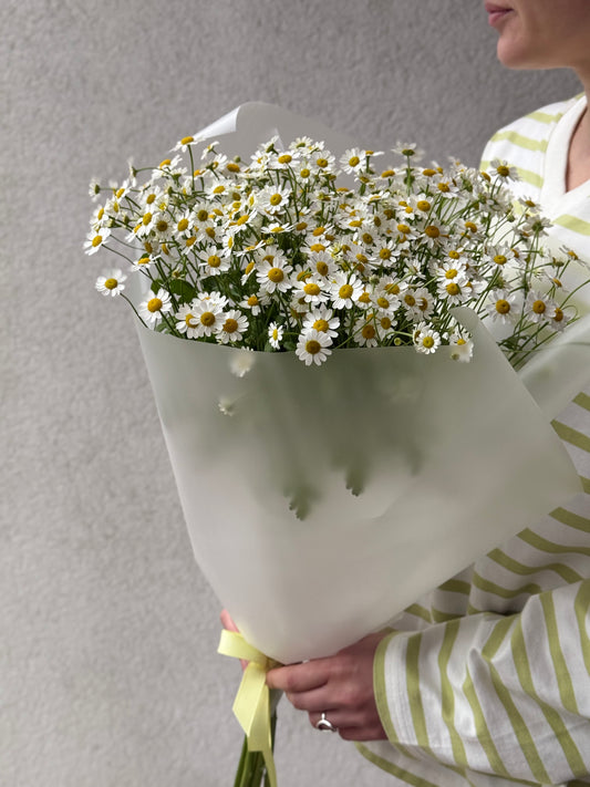 Daisies Bouquet – BloomRoom.ee, fresh flowers in Tallinn