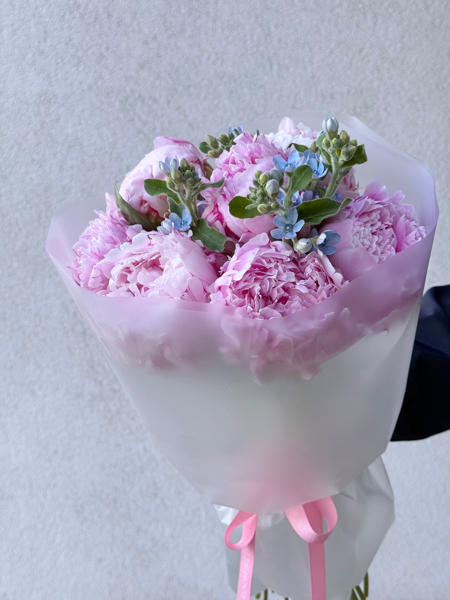 Ploomiroosa kimp sinise oksipeetumi ja sarah bernardi pojengidega | Пионовый букет с синим оксипеталумом | Peony bouquet with blue oxypetalum