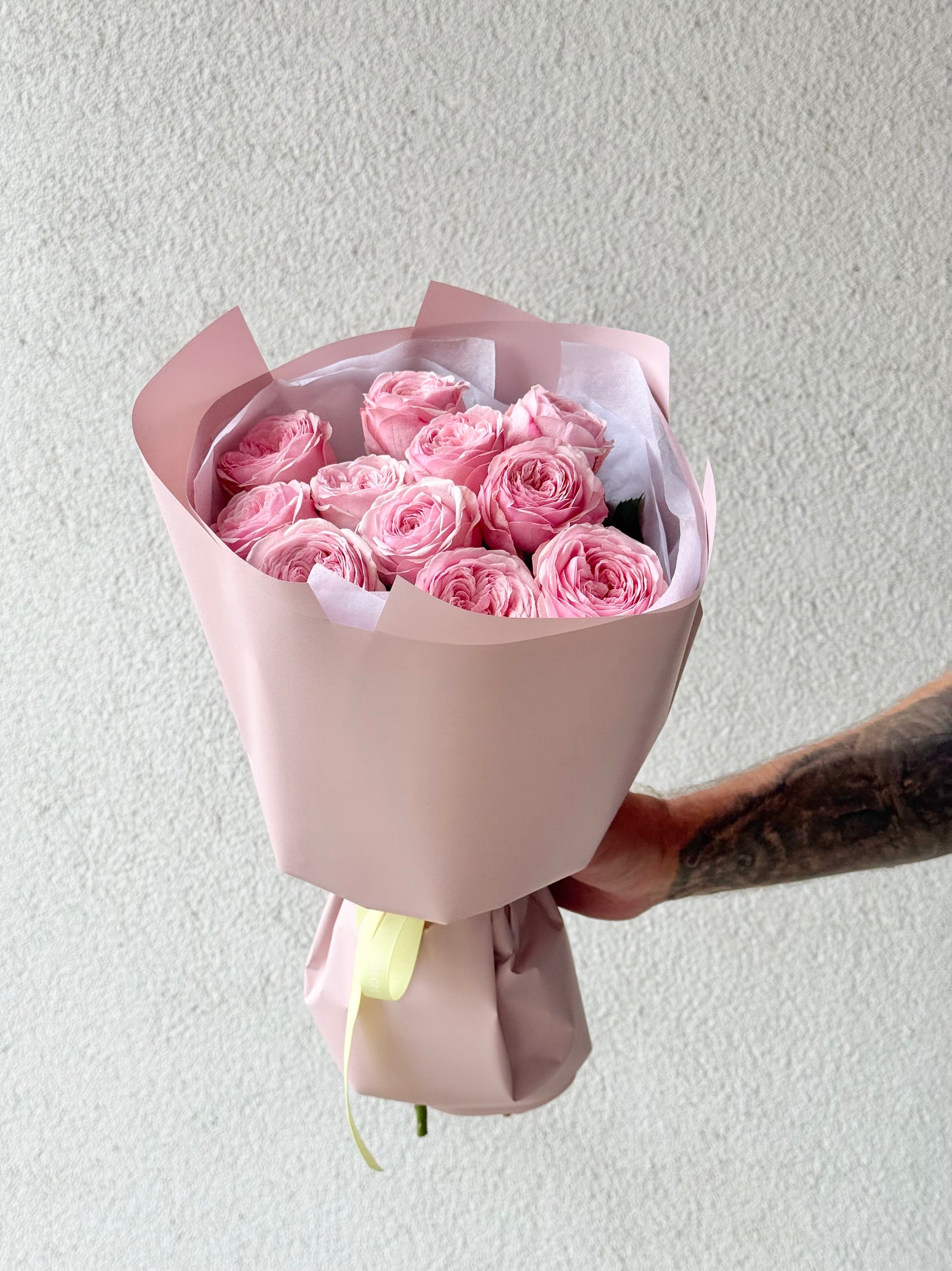 11 "Mansfield Park" Garden Roses