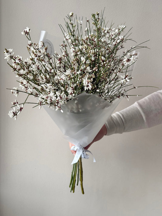 Genistra aroma bunches – BloomRoom.ee, fresh flowers in Tallinn