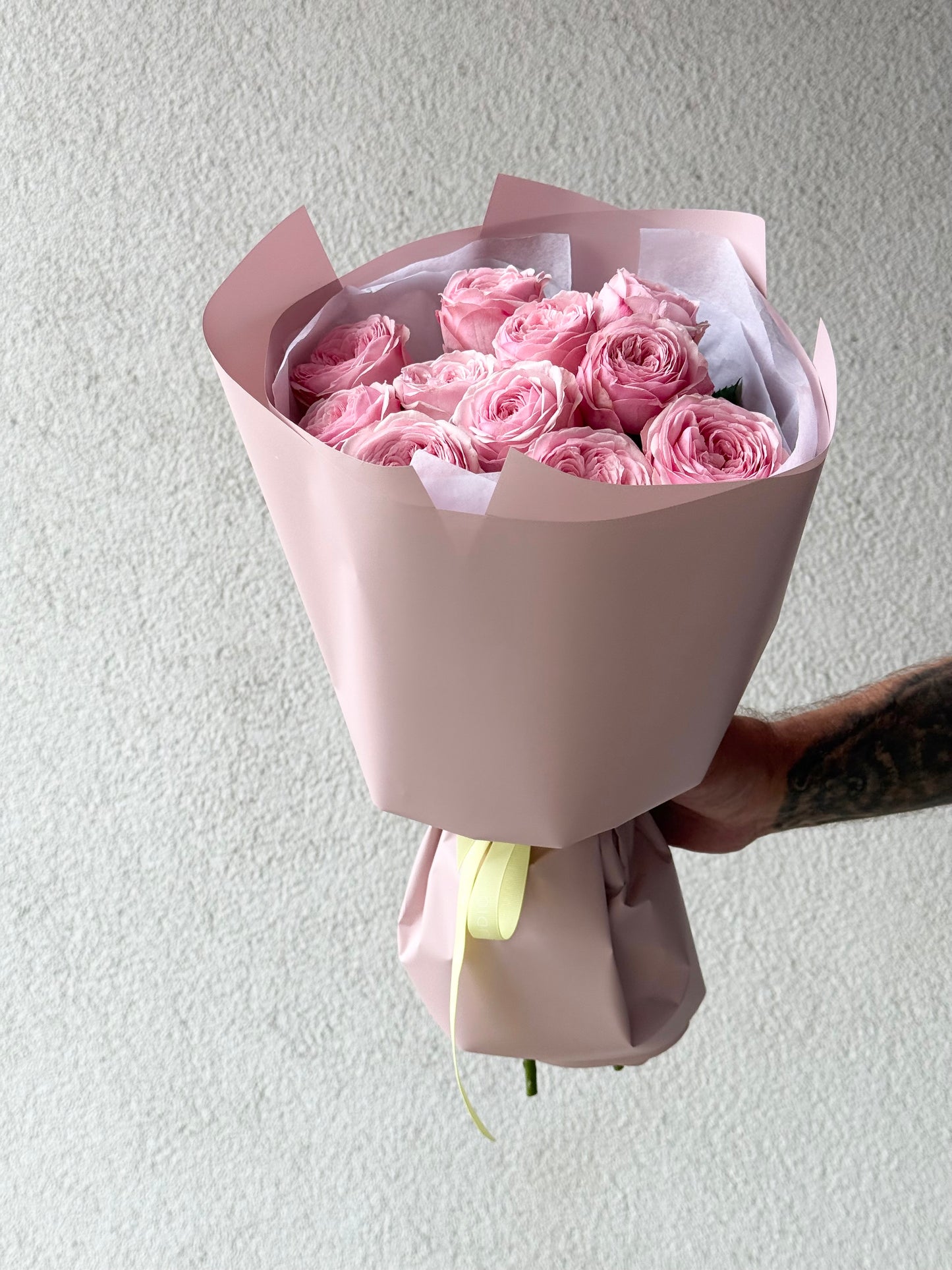 11 "Mansfield Park" Garden Roses
