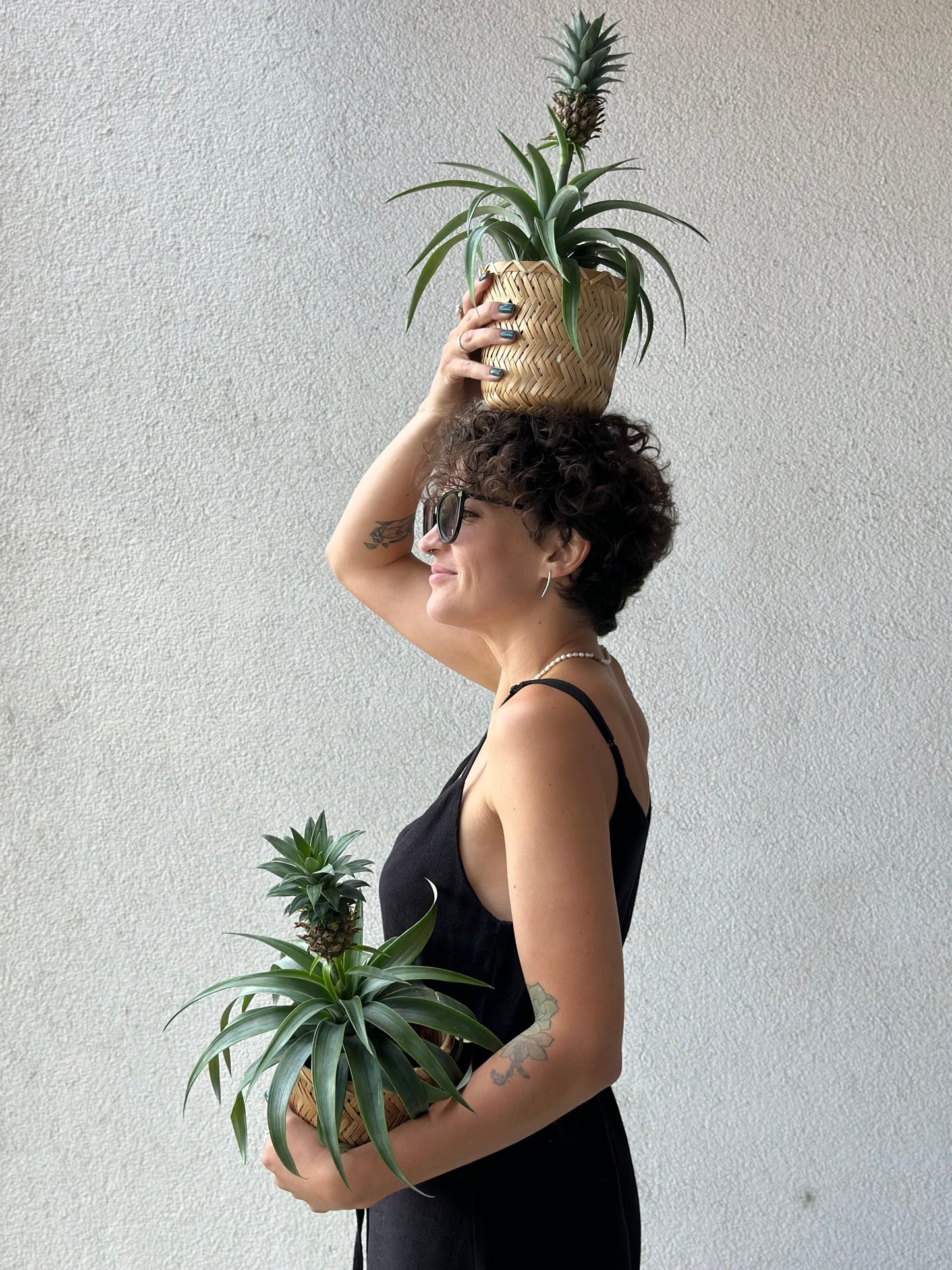 Annan alusesse paigutatud ananassitaimed korvis | Женщина держит ананасовые растения в корзинах | Woman with pineapple plants in woven baskets