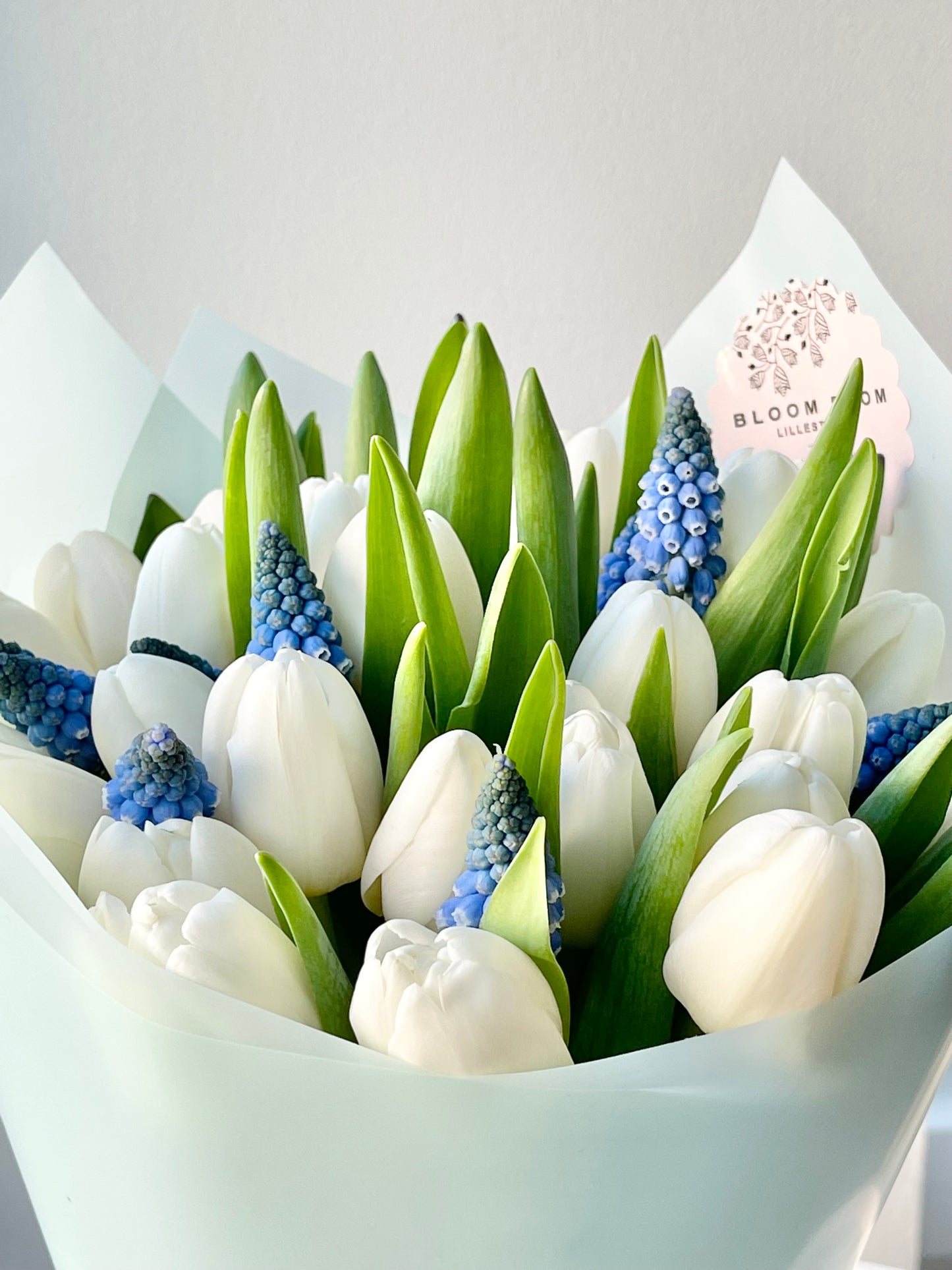 Valge liilia ja helesinised muskaari lilled luksuslikus kimpus | Роскошный букет из белых тюльпанов и голубого мускари | Luxury bouquet of white tulips and blue muscari