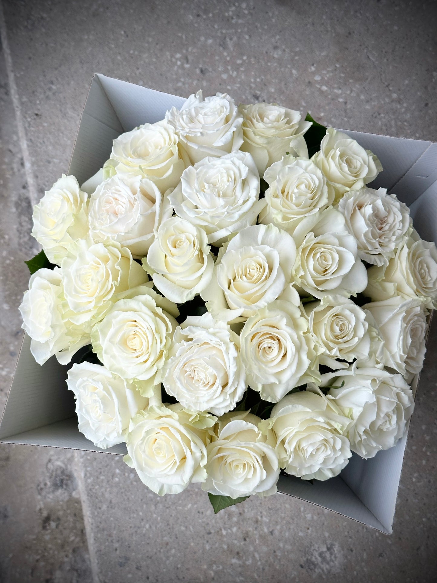 Valged roosid XL suuruses | XL размер белых роз | XL size white roses arrangement in a luxury gift box