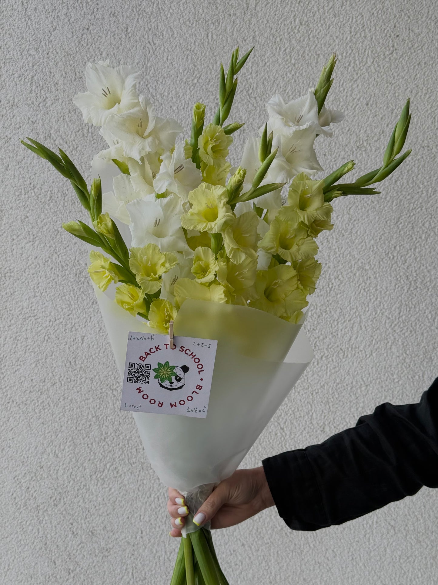“Back to School” with 7 Gladioluses