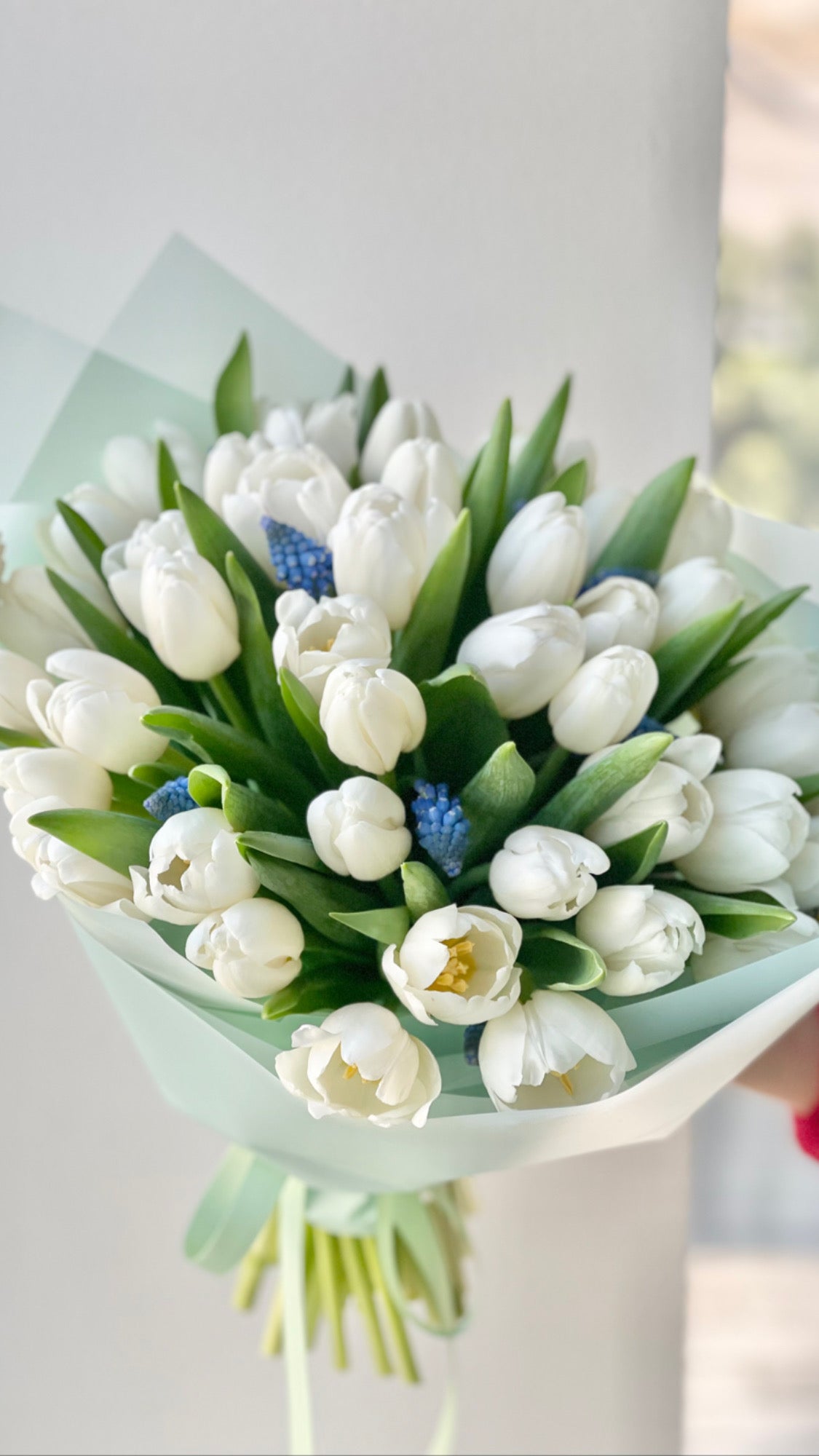 Valge tulpide ja muskaari luksuslik kimp | Роскошный букет из белых тюльпанов и мускари | Luxury bouquet of white tulips and muscari