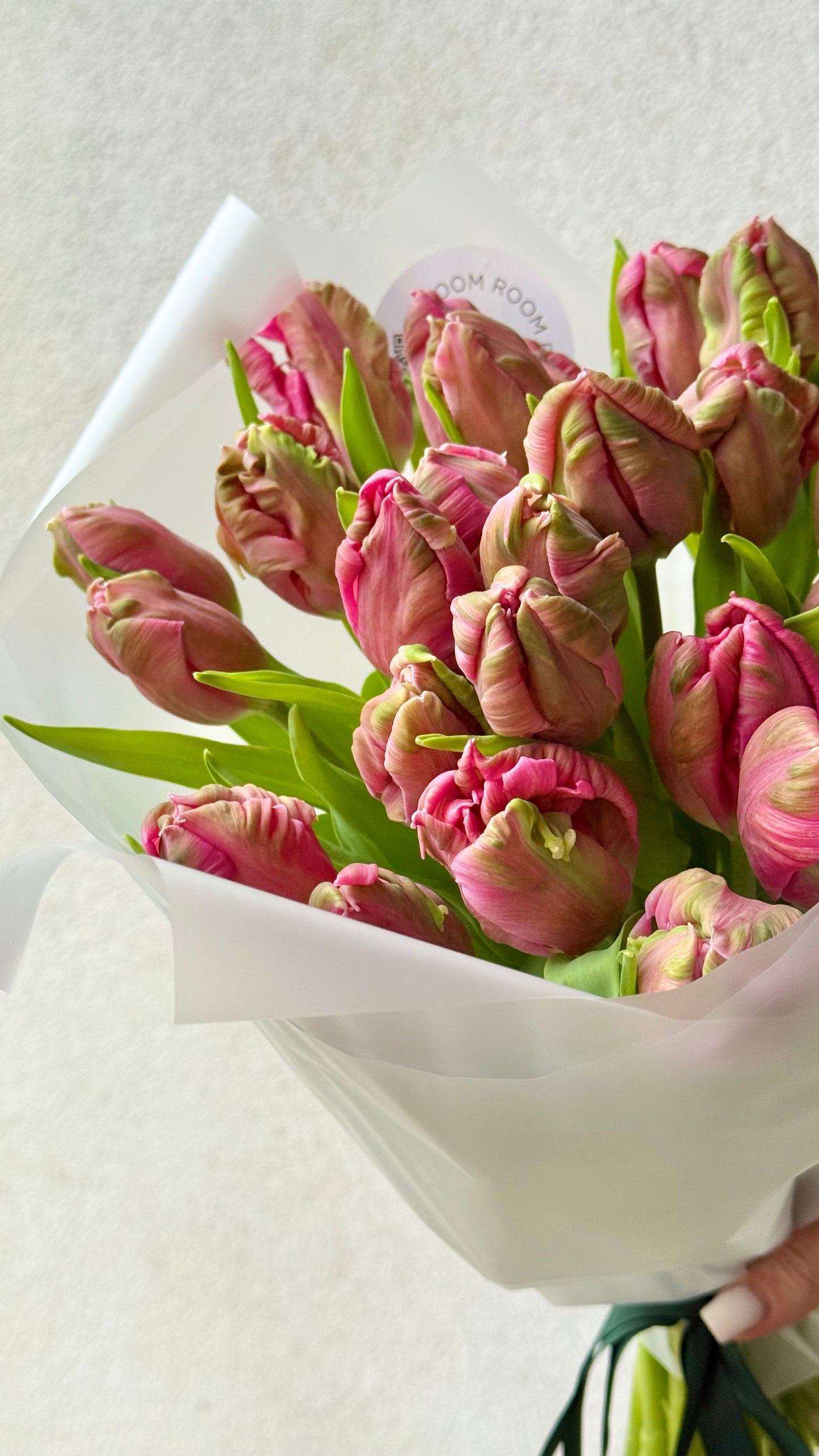 25 Pink Parrot Tulips, XL size