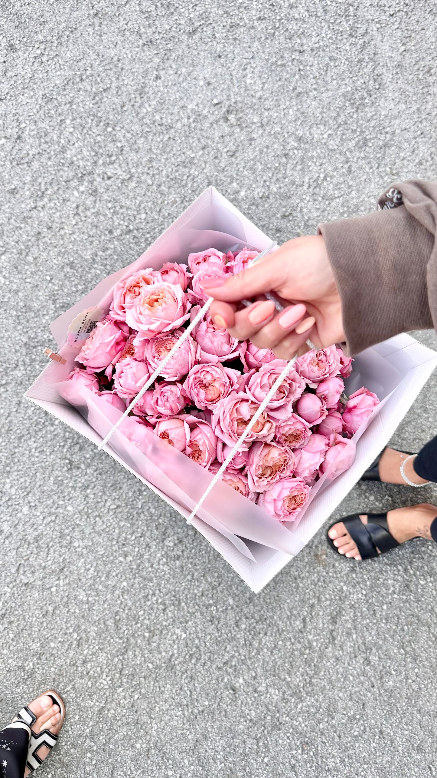 Roosa aedi rooside kimp luksuslikus kinkekarbis | Роскошная коробка с розами в нежных тонах | Luxurious bouquet of pink garden roses in a gift box