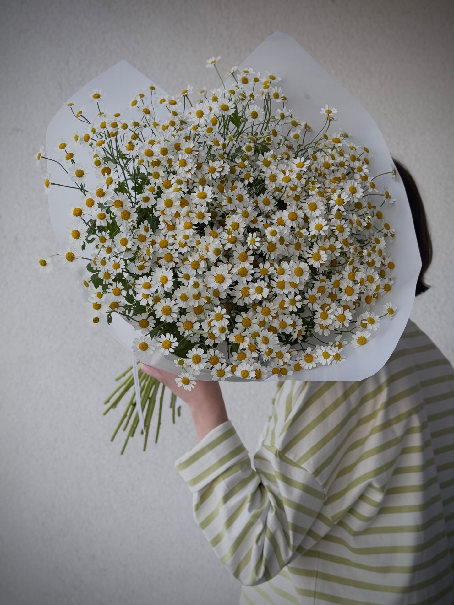 Matricaria lillekimp, 19 päevalilledega | Букет матрикарии, 19 ромашек | Matricaria bouquet with 19 daisies