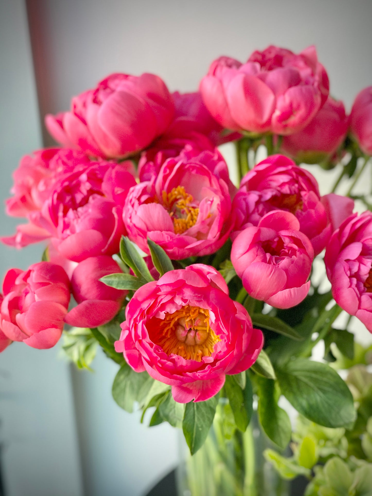 Roosa pionide kimp | Розовая пиона | Pink peony bouquet with lush blooms and green leaves