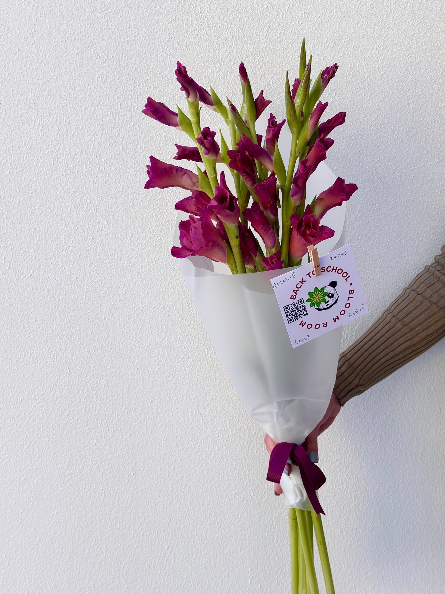 5 "Indian Summer" Gladioluses