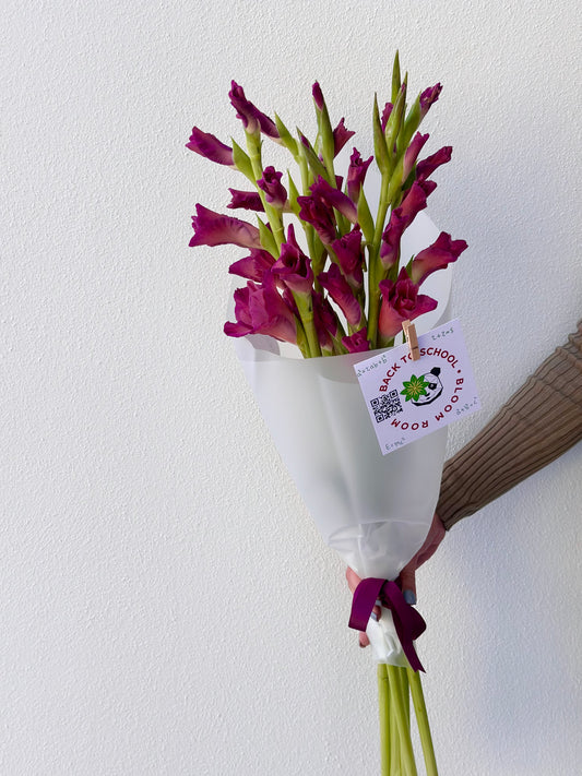 5 "Indian Summer" Gladioluses – BloomRoom.ee, värsked lilled Tallinnas