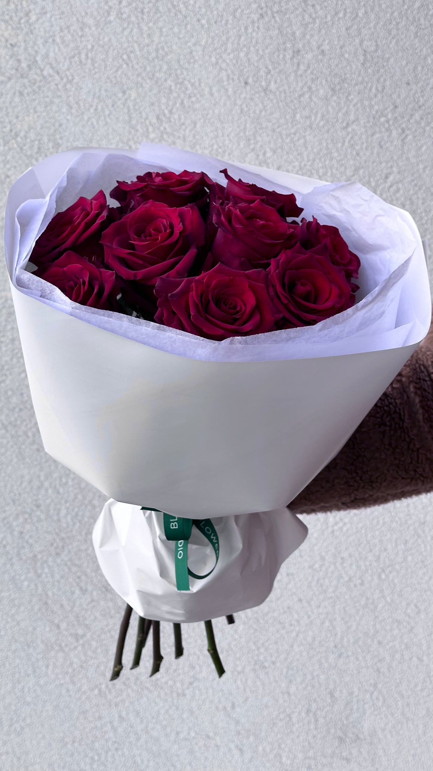 9 suurust "Explorer" punast roosi valges pakendis | 9 красных роз XL размера в белой упаковке | 9 XL size "Explorer" red roses in white wrapping