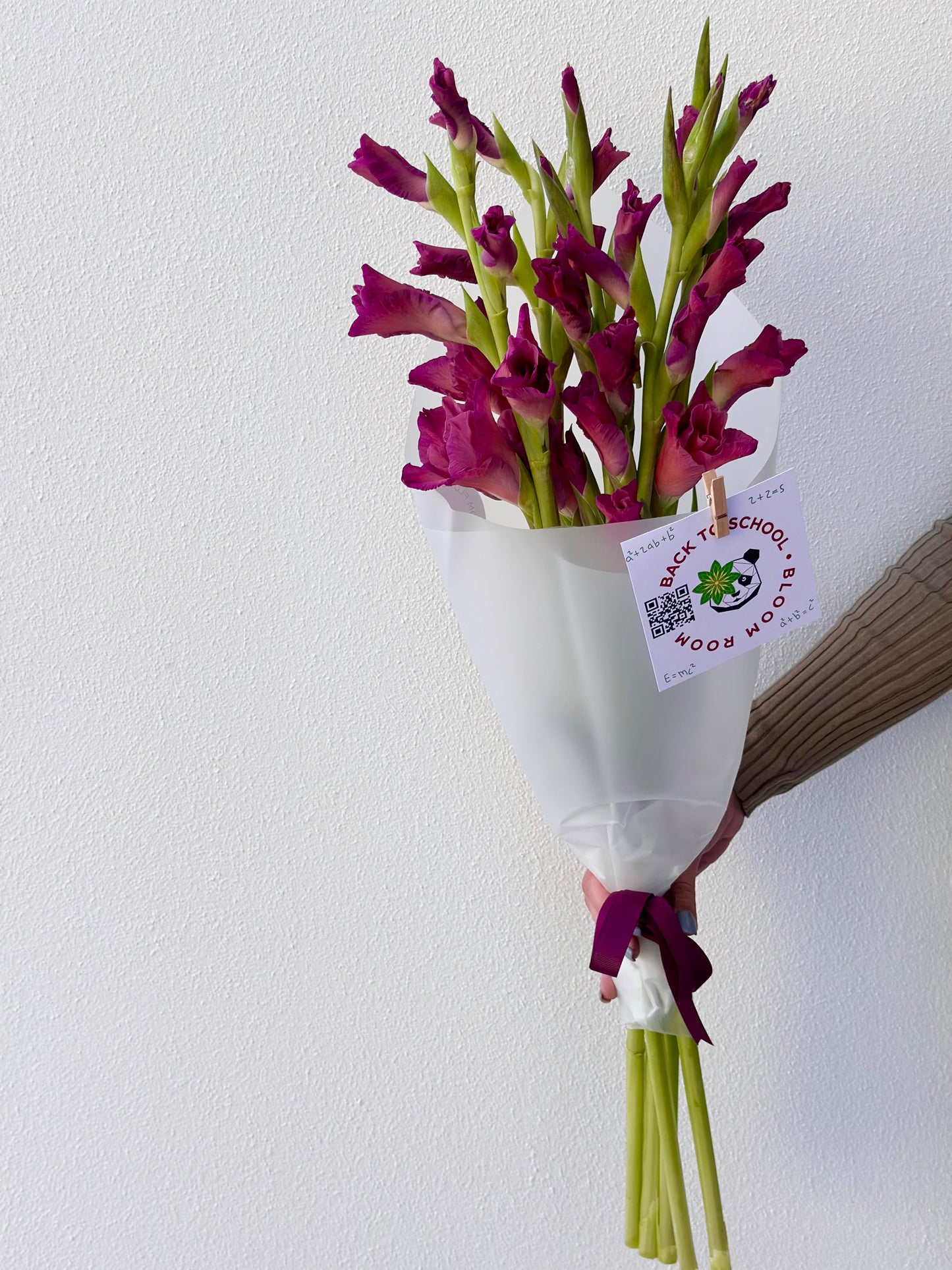 5 "Indian Summer" Gladioluses