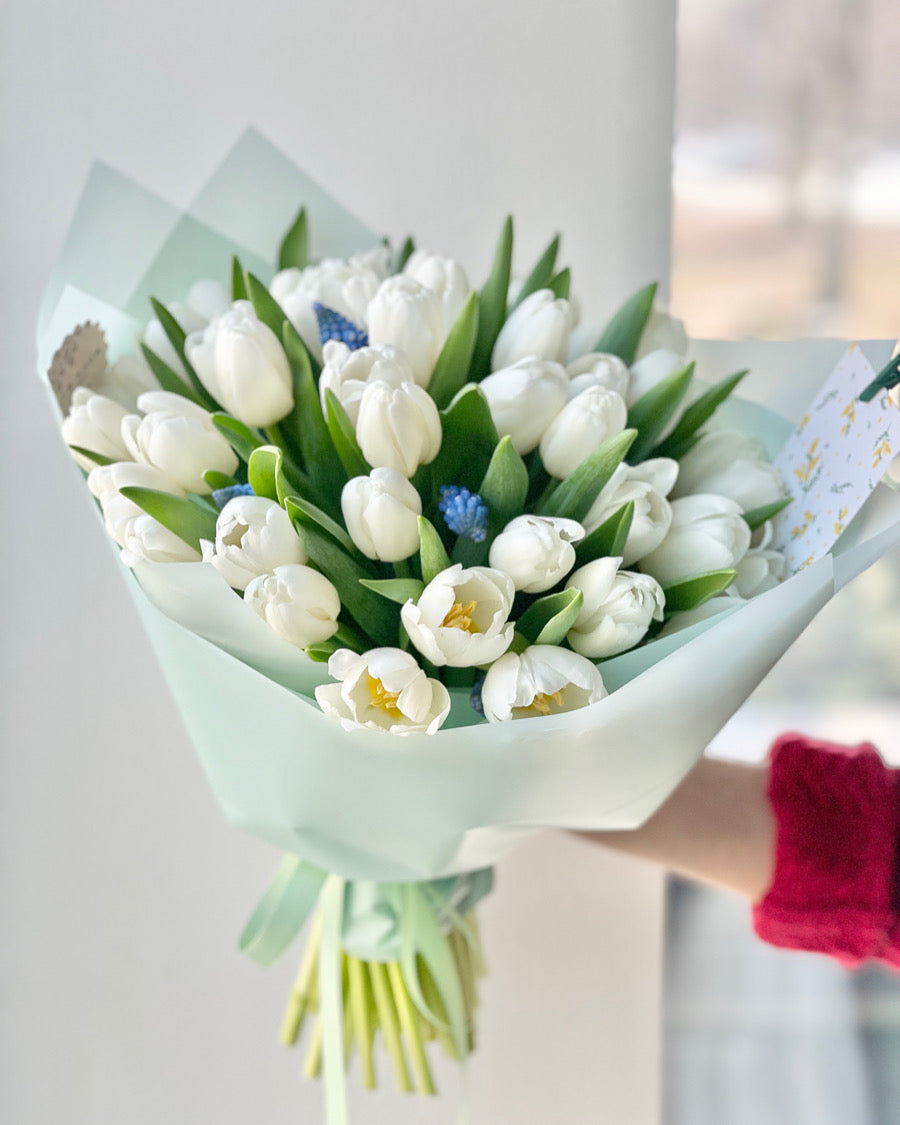 Valge tulbikimp muscari õitega | Букет белых тюльпанов с мускари | Luxury white tulip bouquet with muscari flowers