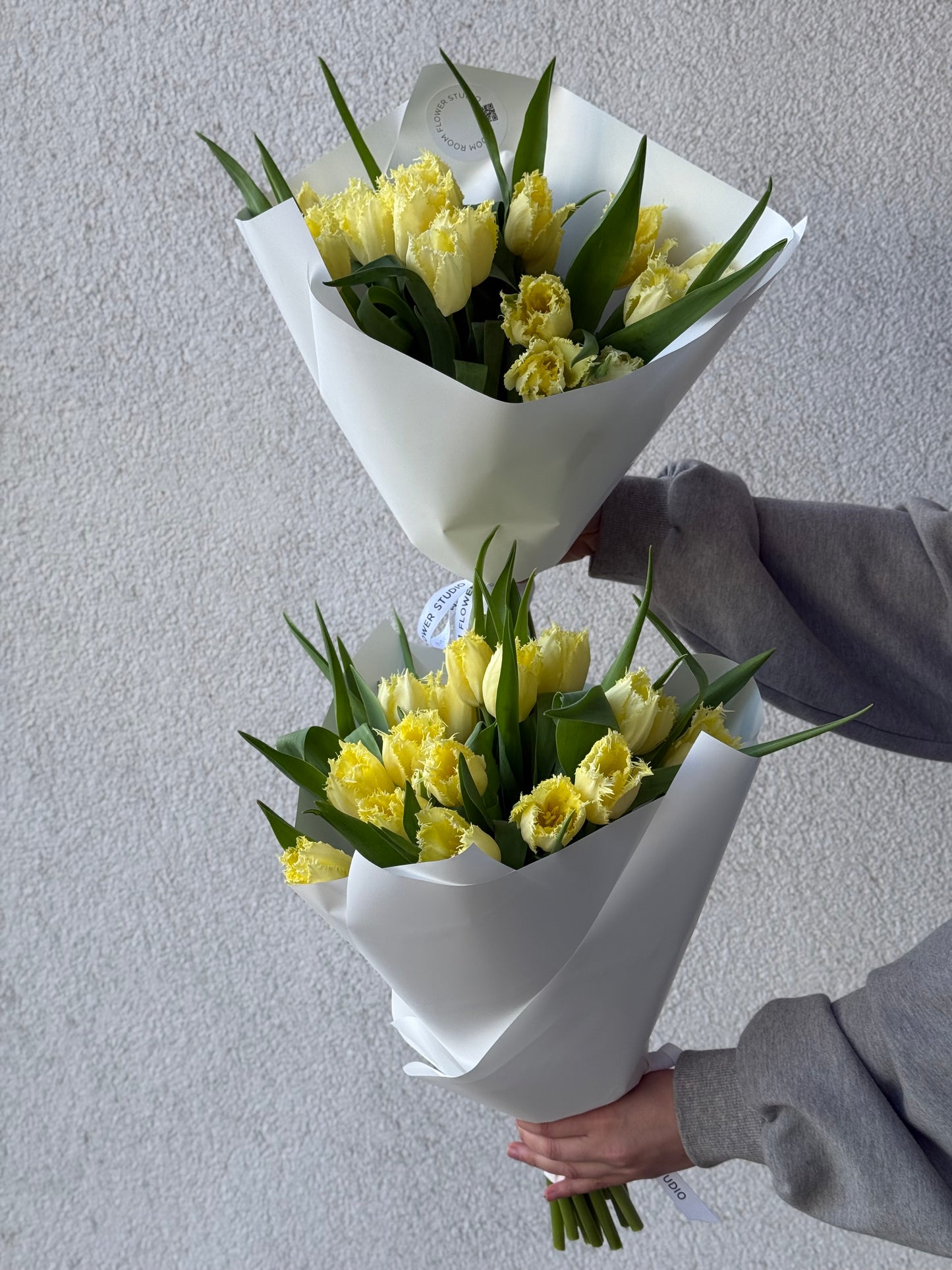 15 Limoncello Tulips, XL Size