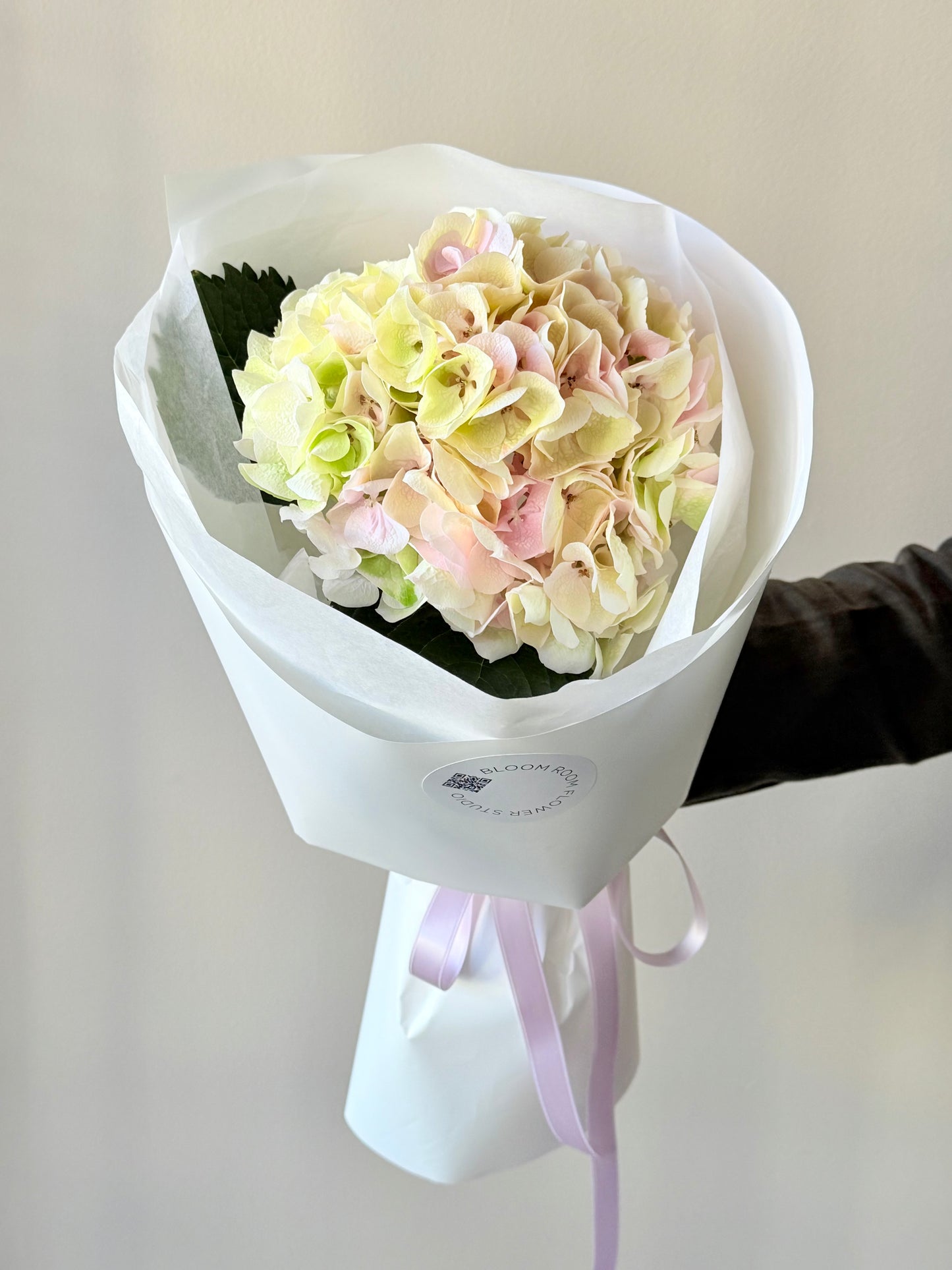 "Watermelon" Hydrangea