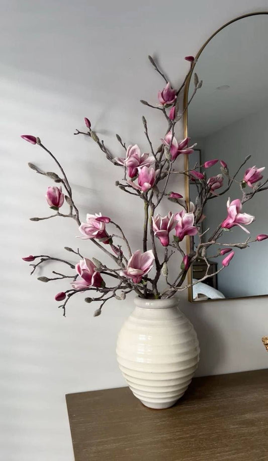 🌸 1 steam of Magnolia – BloomRoom.ee, fresh flowers in Tallinn