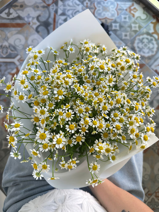 «Daisies” Bouquet – BloomRoom.ee, fresh flowers in Tallinn