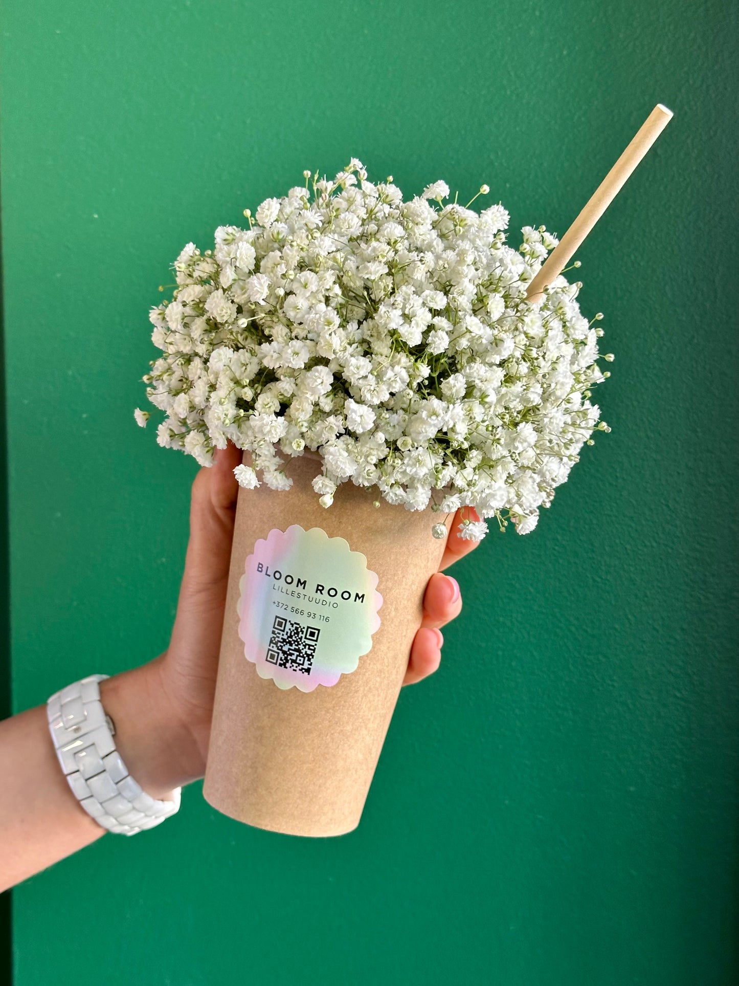 Gypsophila cocktail