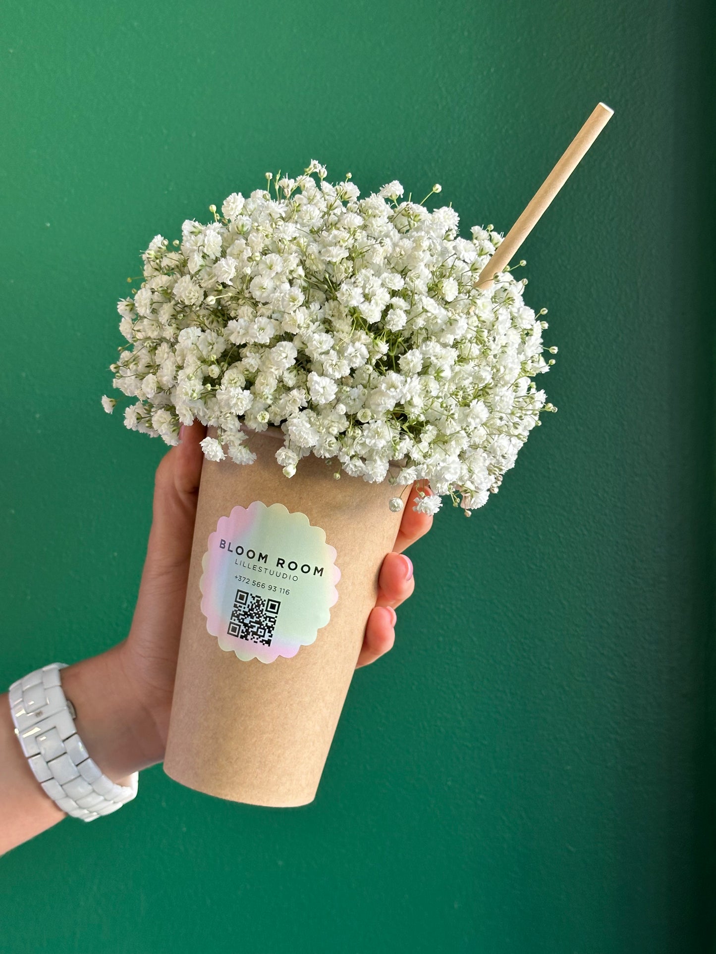 Gypsophila cocktail