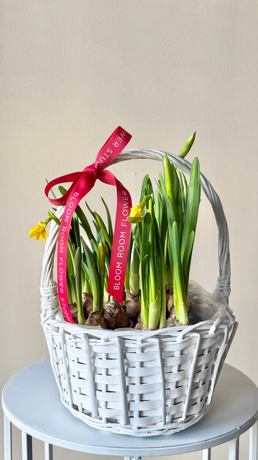 Narciss in a basket – BloomRoom.ee, fresh flowers in Tallinn