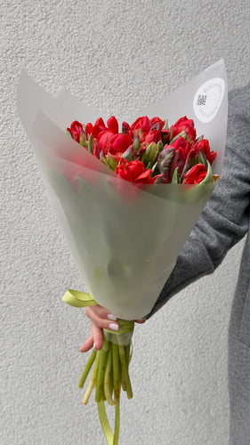 13 red double tulips wrapped in mate paper with light green ribbon. 