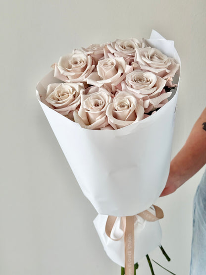 9 "Menta" Roses