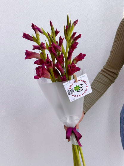 5 "Indian Summer" Gladioluses