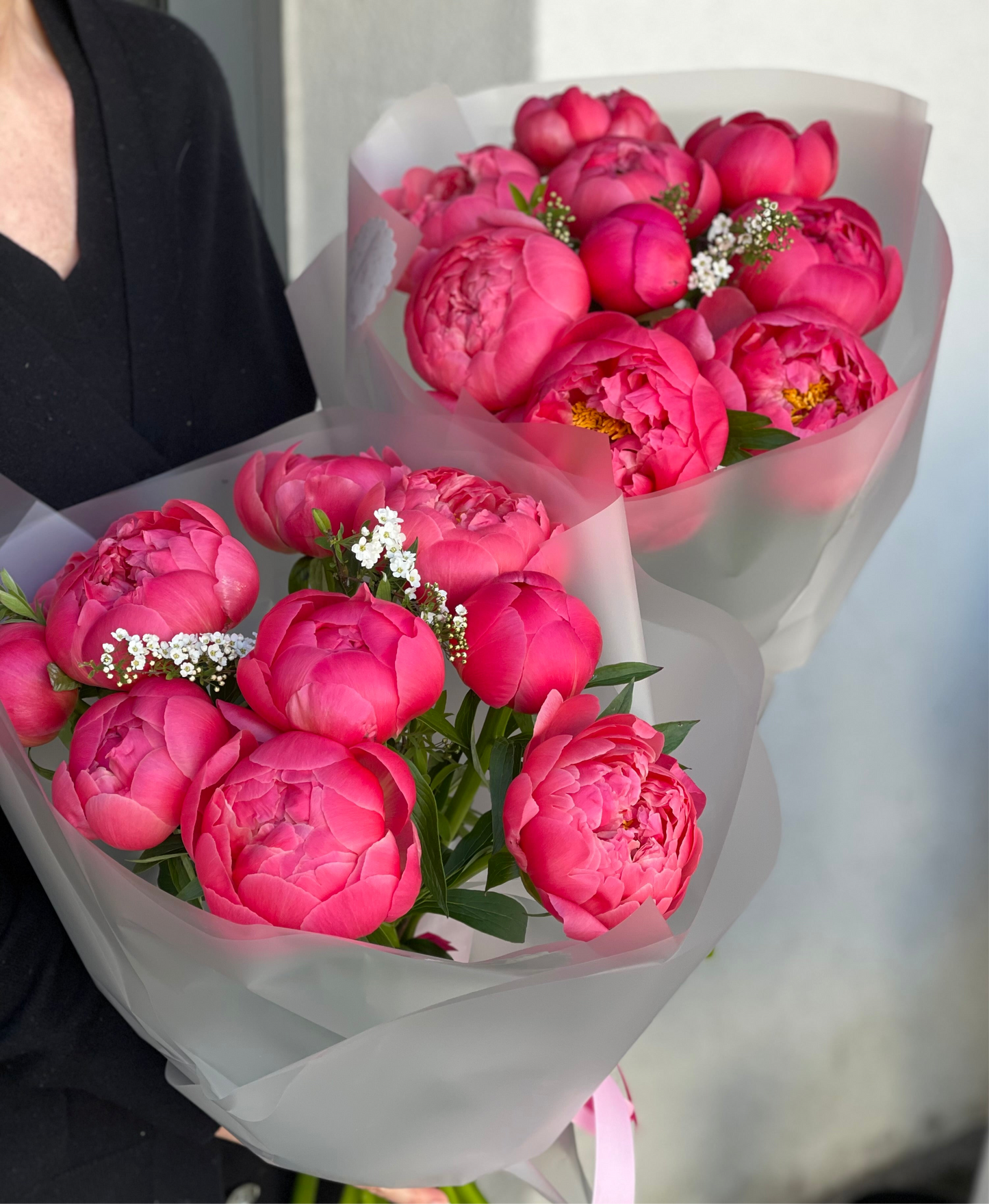11 Coral Peonies