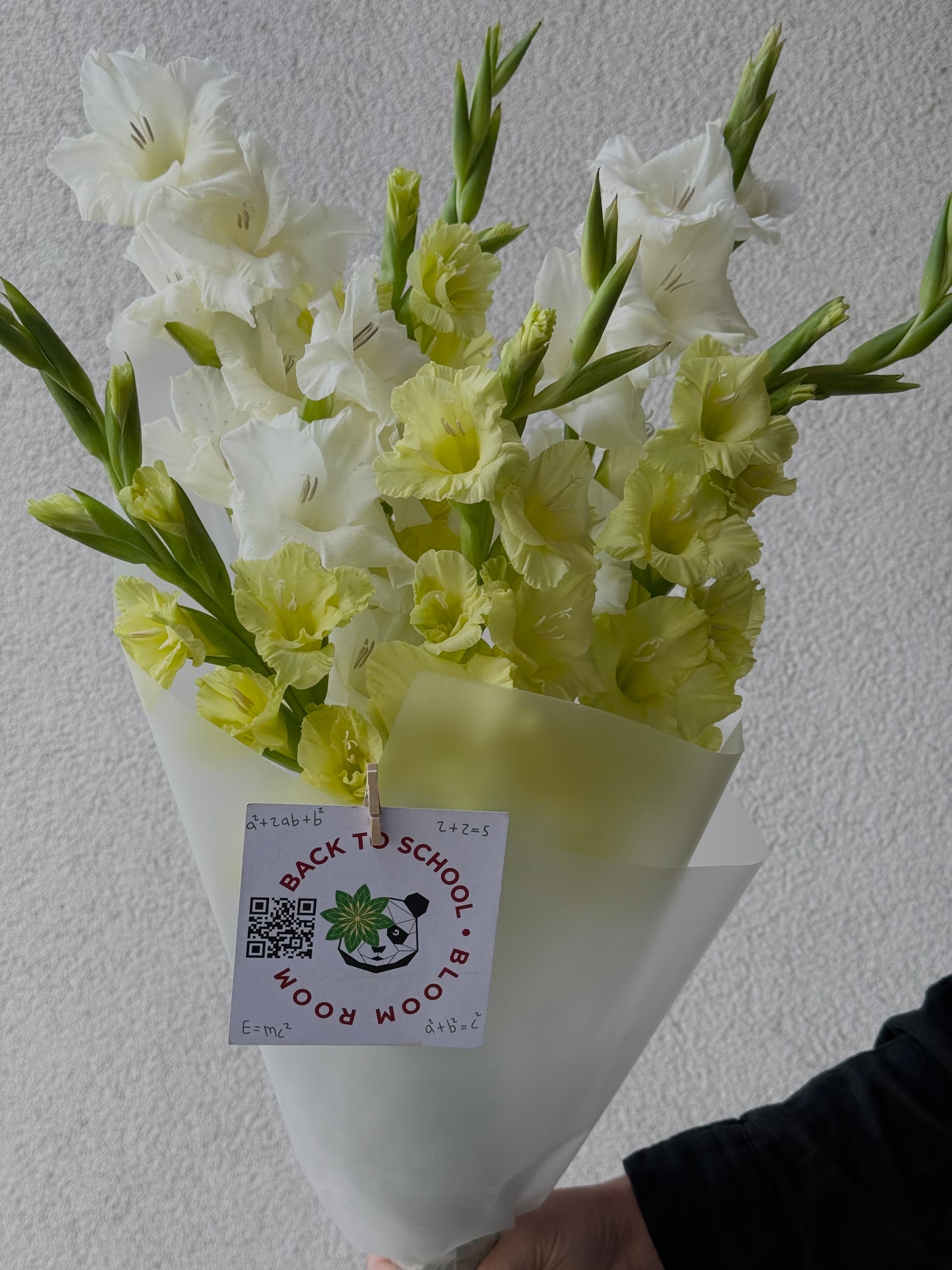 “Back to School” with 7 Gladioluses