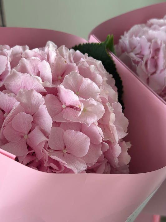 "Missis Bombastic" Bouquet – BloomRoom.ee, fresh flowers in Tallinn