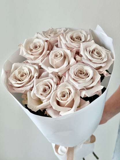 9 "Menta" Roses