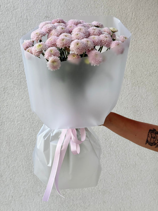 11 "Blush Santini" Chrysantemum
