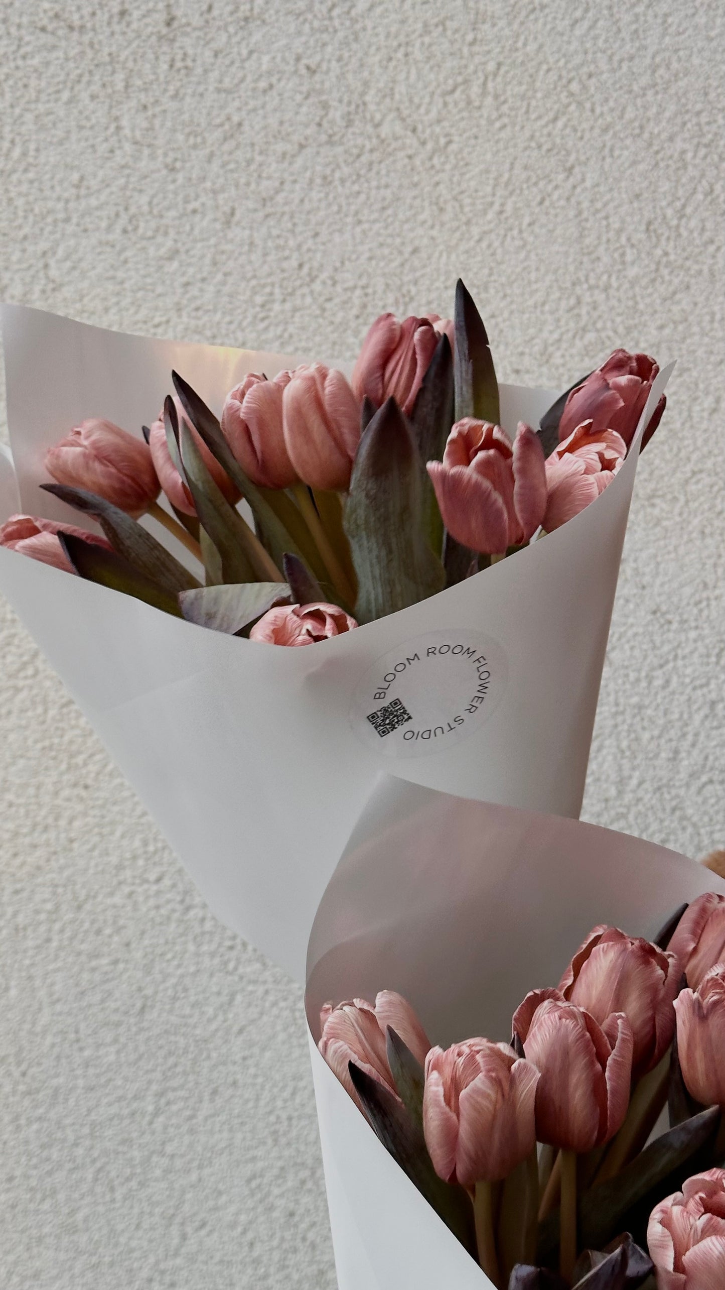 13 Brownie tulpi | 13" Брауни" тюльпанов | 13 "Brownie“ Tulips