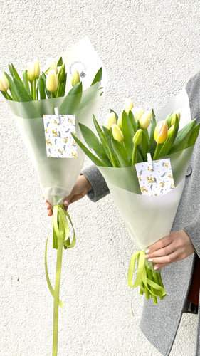 13 items of white tulips, XL size. Wrapped in stylish mate paper with light green ribbon 